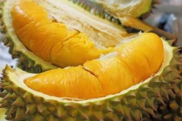 吃榴蓮會胖嗎 吃榴蓮后不能吃什么