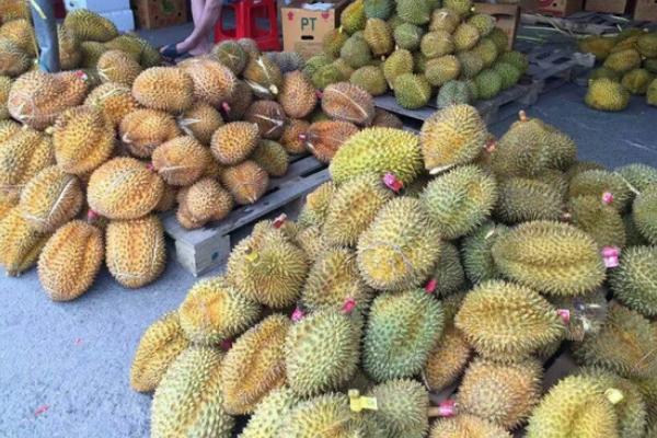 吃榴蓮會胖嗎 吃榴蓮后不能吃什么