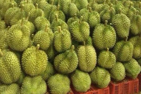 買榴蓮怎么挑選 榴蓮怎么打開