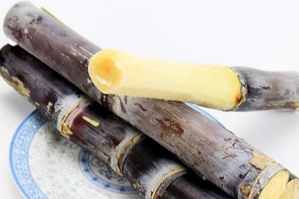 黑皮甘蔗的功效與作用 黑皮甘蔗種植技術