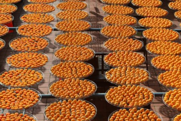 柿餅怎么做 柿餅怎么吃