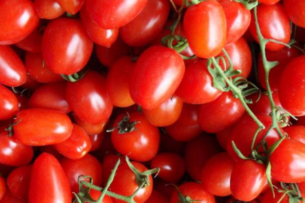 圣女果怎么保存 圣女果可以放冰箱嗎