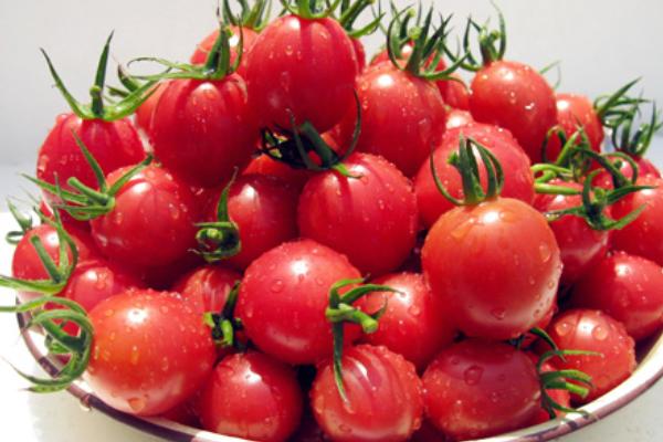 圣女果什么時候種 圣女果是水果嗎