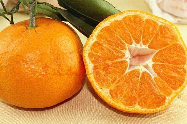 如何挑選蘆柑 哪里的蘆柑最好吃