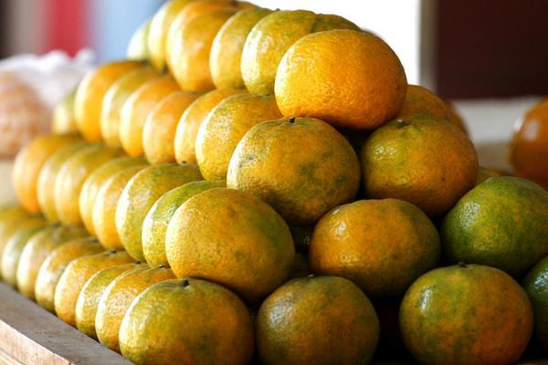 如何挑選蘆柑 哪里的蘆柑最好吃