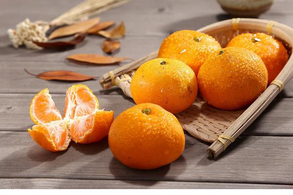 蜜桔市場價(jià)格多少錢一斤 蜜桔幾月上市銷售