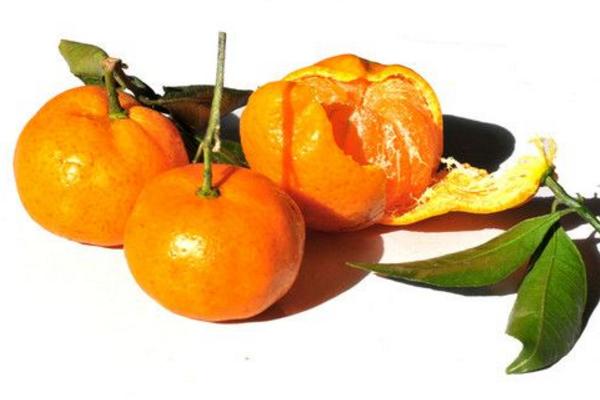 蜜桔市場價(jià)格多少錢一斤 蜜桔幾月上市銷售