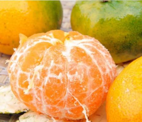 蜜桔市場價(jià)格多少錢一斤 蜜桔幾月上市銷售