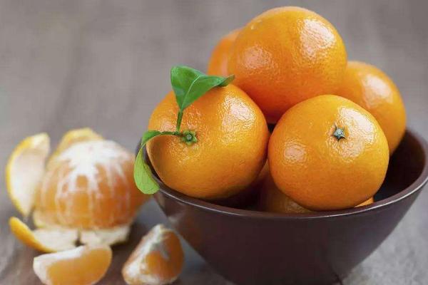 蜜桔市場價(jià)格多少錢一斤 蜜桔幾月上市銷售