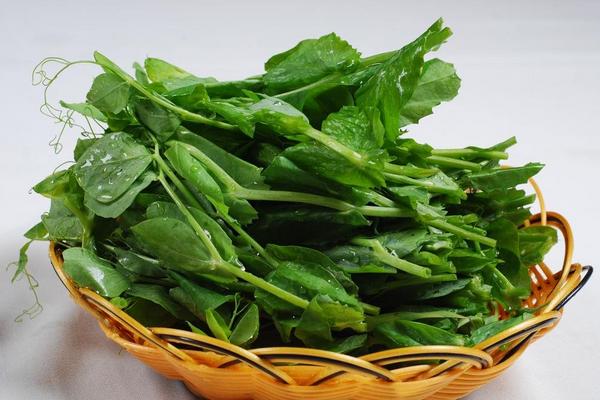豌豆尖怎么做好吃 豌豆尖的家常簡單做法