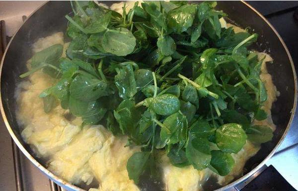 豌豆尖怎么做好吃 豌豆尖的家常簡單做法