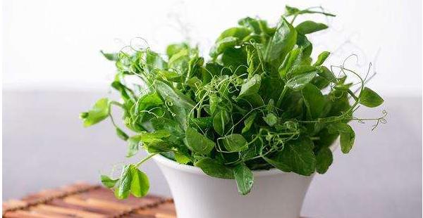 豌豆尖怎么做好吃 豌豆尖的家常簡單做法