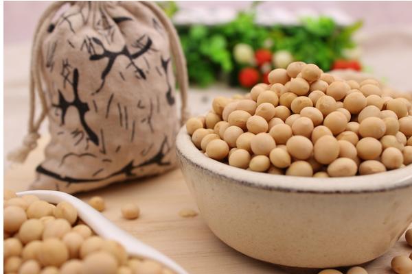 黃豆是大豆嗎 黃豆和大豆的區別是什么