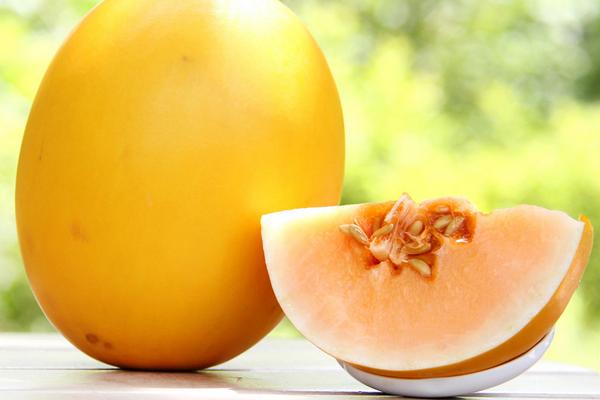 黃河蜜瓜是哈密瓜嗎 黃河蜜瓜孕婦可以吃嗎