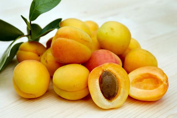 黃河蜜瓜是哈密瓜嗎 黃河蜜瓜孕婦可以吃嗎