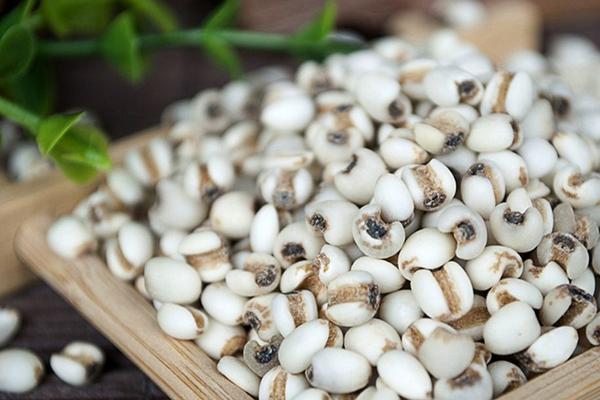 黃河蜜瓜是哈密瓜嗎 黃河蜜瓜孕婦可以吃嗎