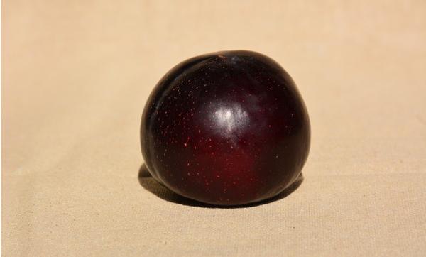 布朗水果是哪里生產的 布朗果東北能種嗎