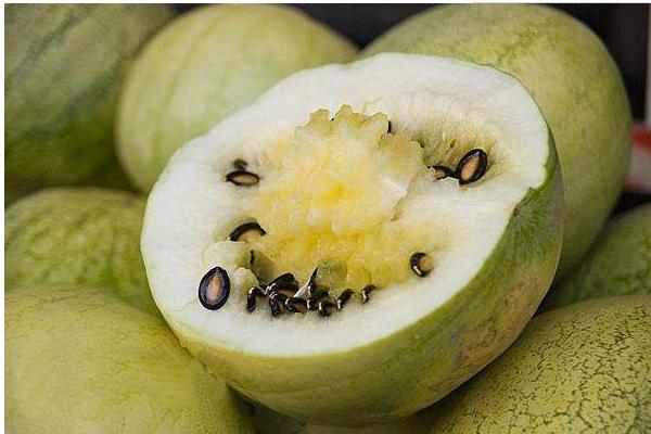 籽瓜的熱量是多少 吃籽瓜會發胖嗎