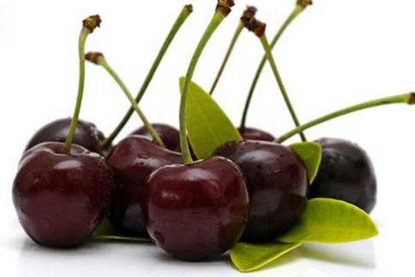美國黑櫻桃市場價格多少錢一斤 黑櫻桃產地在哪里