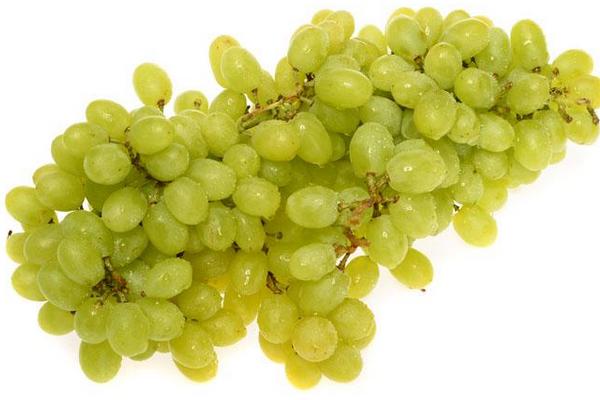 馬奶葡萄市場價格多少錢一斤 馬奶葡萄產地在哪里