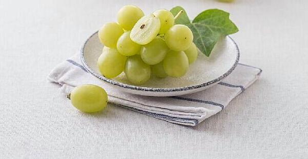 新疆馬奶葡萄有籽嗎 馬奶葡萄幾月份成熟上市