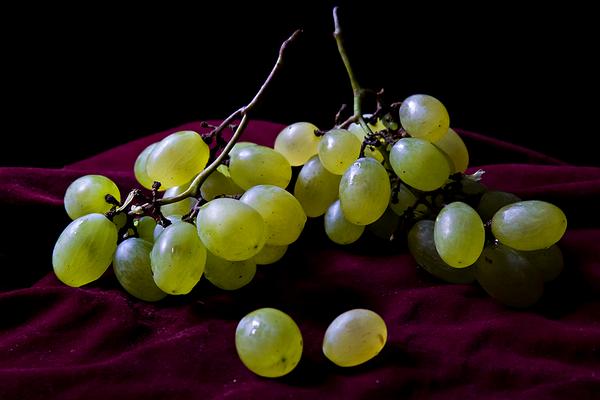 新疆馬奶葡萄有籽嗎 馬奶葡萄幾月份成熟上市