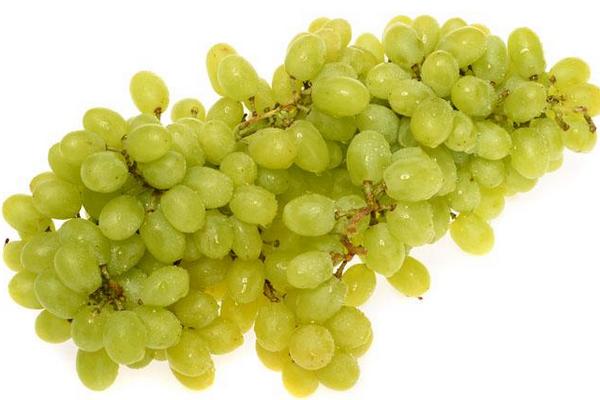 新疆馬奶葡萄有籽嗎 馬奶葡萄幾月份成熟上市