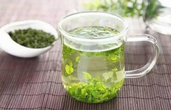 酸棗芽的功效與作用及禁忌 酸棗芽藥用價值