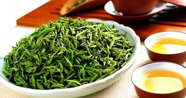 酸棗芽的功效與作用及禁忌 酸棗芽藥用價值