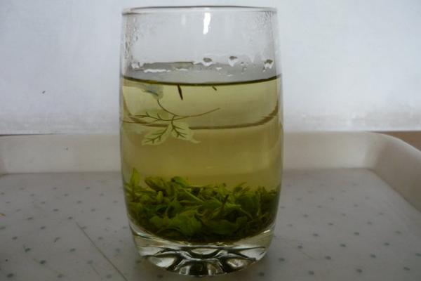 酸棗芽的功效與作用及禁忌 酸棗芽藥用價值