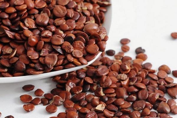 酸棗仁的功效與作用及禁忌 酸棗仁能長期吃嗎