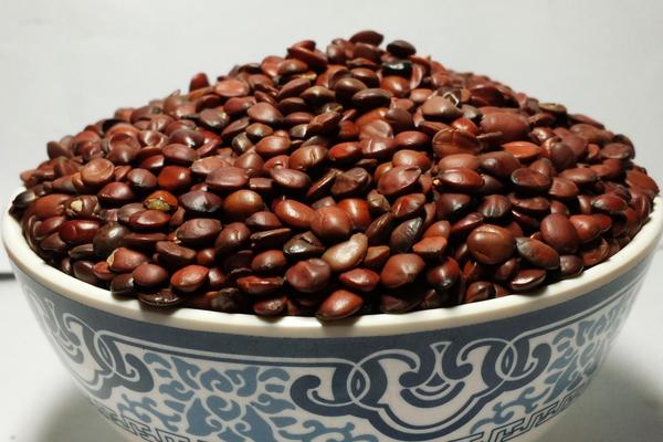 酸棗仁的功效與作用及禁忌 酸棗仁能長期吃嗎