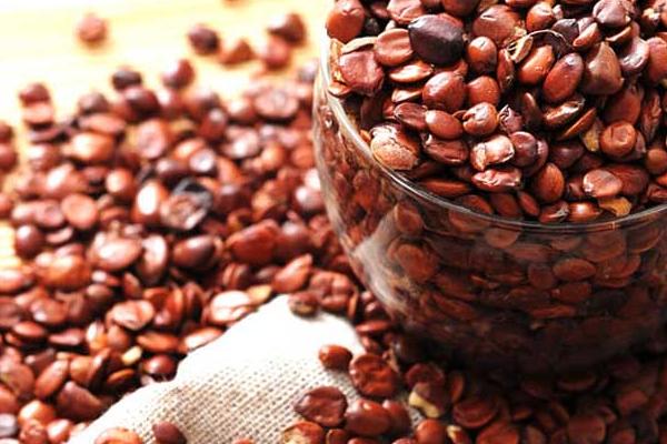 酸棗仁的功效與作用及禁忌 酸棗仁能長期吃嗎