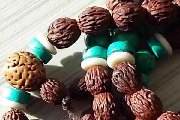 酸棗核的功效與作用及禁忌 酸棗核藥用價值