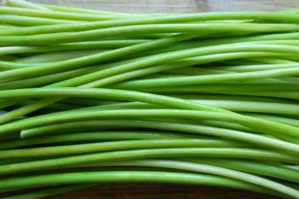 蒜苔是怎么長(zhǎng)出來(lái)的 蒜苔是大蒜長(zhǎng)出來(lái)的嗎