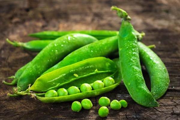 豌豆和青豆的區(qū)別是什么 豌豆的吃法