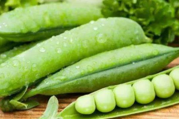 豌豆和青豆的區(qū)別是什么 豌豆的吃法