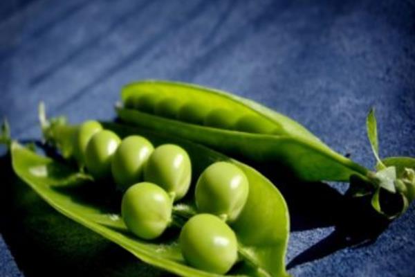 豌豆和青豆的區(qū)別是什么 豌豆的吃法