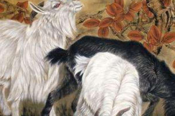 屬羊的是什么性格 屬羊的幸運(yùn)數(shù)字是多少