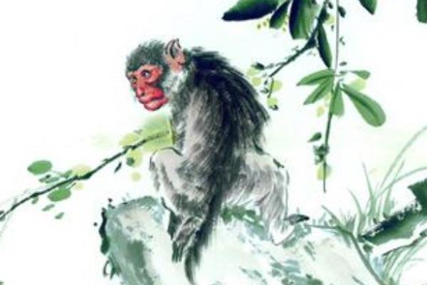 屬猴的本命佛是什么 屬猴吉祥物是什么 屬猴帶什么好