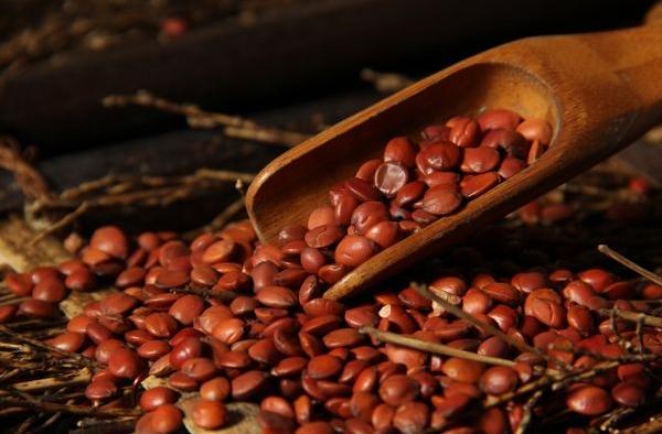 炒酸棗仁的功效與作用及禁忌 炒酸棗仁怎么吃