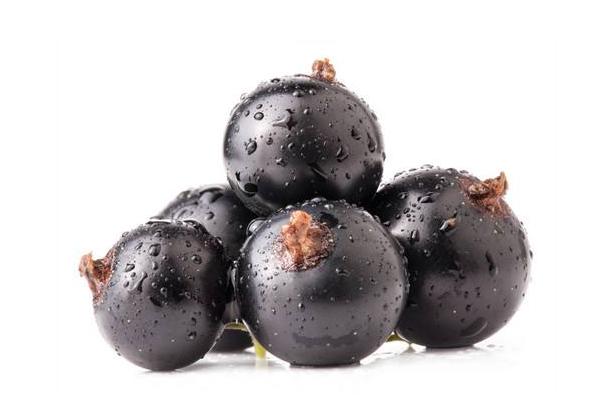 黑醋栗和黑加侖一樣嗎(區別是什么)黑醋栗營養價值