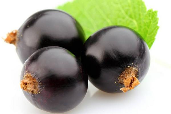 黑醋栗和黑加侖一樣嗎(區別是什么)黑醋栗營養價值