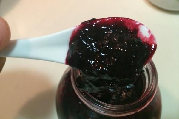 黑醋栗和黑加侖一樣嗎(區別是什么)黑醋栗營養價值