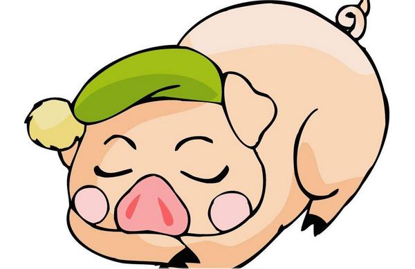 屬豬的是什么性格 屬豬的幸運數(shù)字是多少