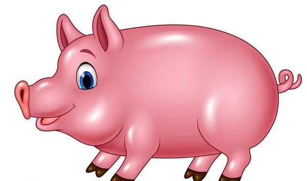 屬豬的本命佛是什么 屬豬吉祥物是什么 屬豬帶什么好