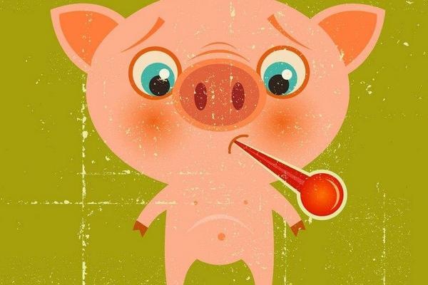 屬豬的今年多大(2018年) 屬豬今年運勢如何(財運、姻緣)