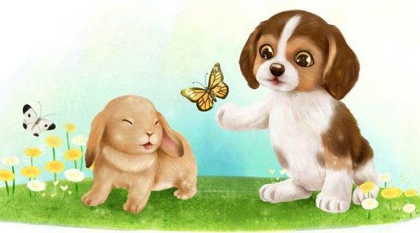 屬狗的今年多大(2018年) 屬狗今年運勢如何(財運、姻緣)