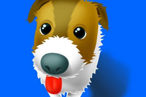 屬狗的今年多大(2018年) 屬狗今年運勢如何(財運、姻緣)