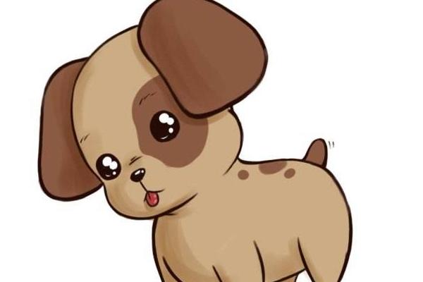 屬狗的今年多大(2018年) 屬狗今年運勢如何(財運、姻緣)